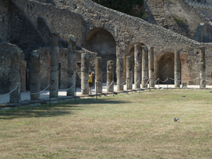Slideshow Image