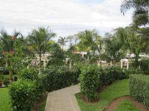 Slideshow Image